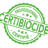 Une personne passe l'aspirateur sur un matelas gris.